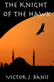 The Knight of the Hawk